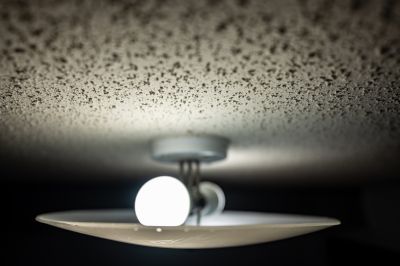Popcorn Ceiling Removal And Repair