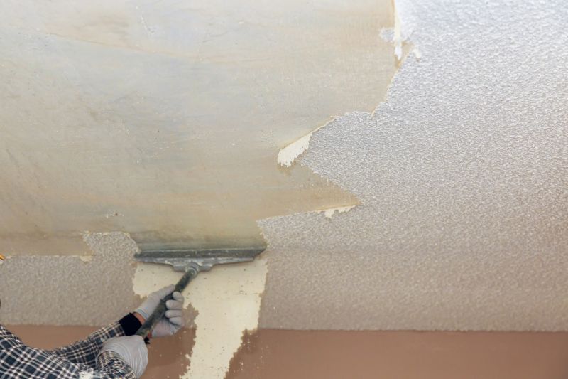 Ceiling Removal Process